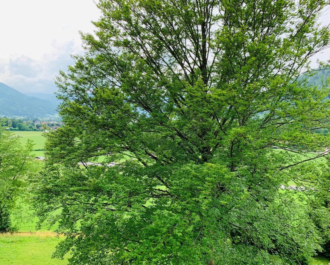 Buchenblick Strobl Exterior foto